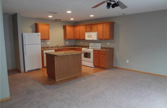 1136 Redstone Lane - 1136 Redstone Ln, Pleasant Hill, IA 50327