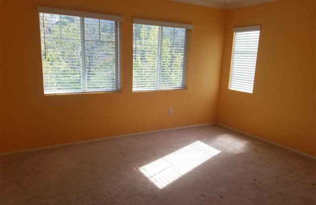 5876 Oak Fern Gallery 4