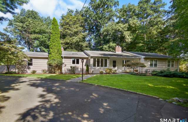 59 Colony Road photos photos