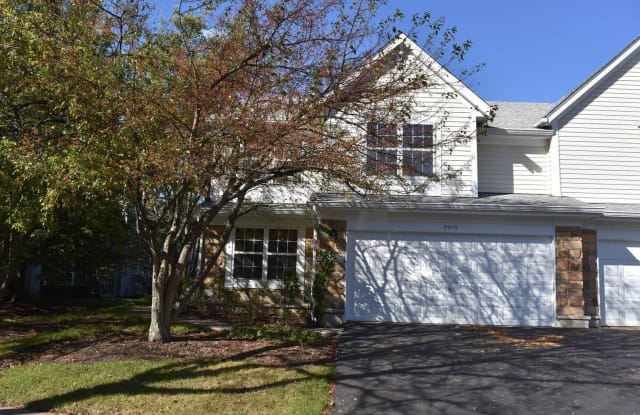 2910 BELLE Lane - 2910 Belle Lane, Schaumburg, IL 60193