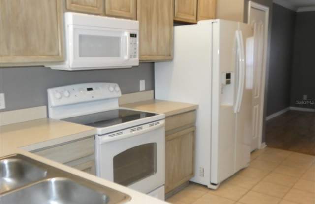 15704 FISHHAWK FALLS DRIVE Gallery 4