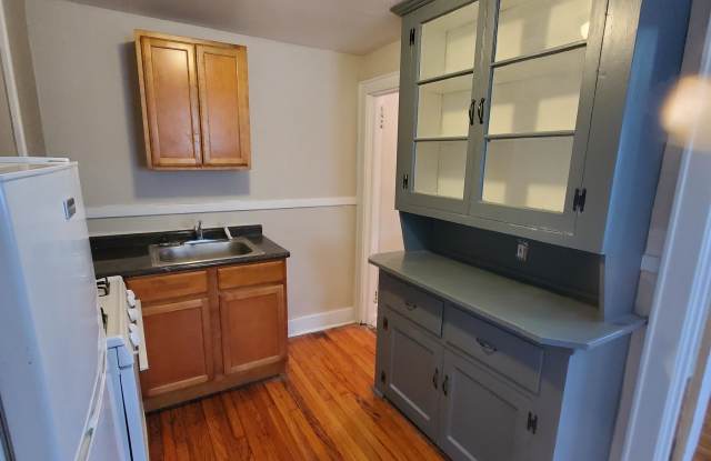 133 Spring Street 1st Fl - 133 Spring Street, Albany, NY 12203
