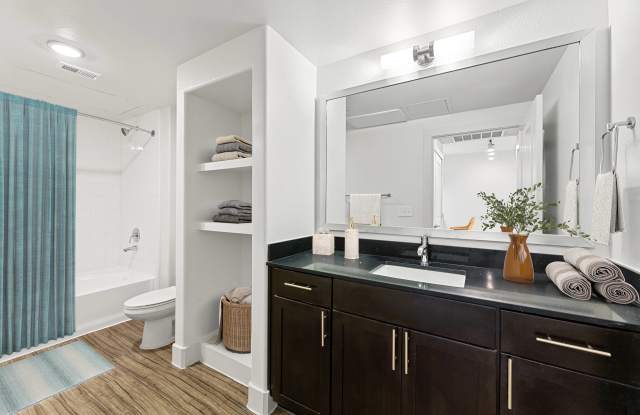 The Standard at Domain Northside Apartments Gallery 3