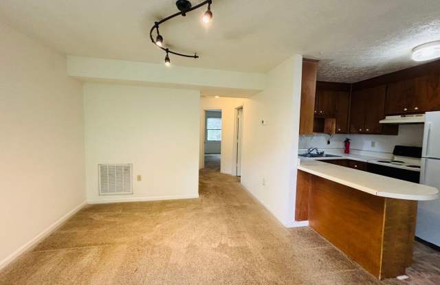 4 Bedroom 2 Bath Townhouse Gallery 4