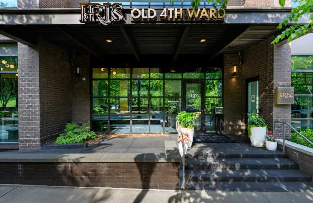 Iris O4W Gallery 2