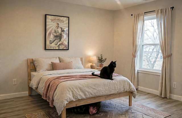 NO FEE!  Gorgeous, Unique Apt by Coolidge Corner!  Perfect for BU students & working pros! Gallery 4