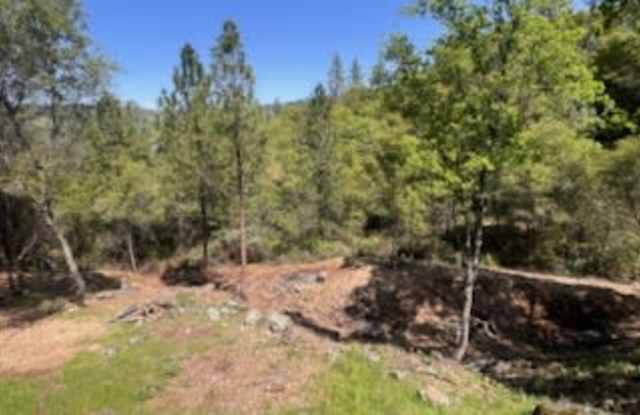 11657 Deerlick Road photos photos