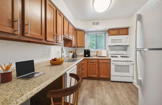 Hamilton Springs photos photos