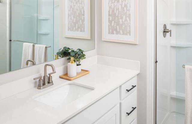 Olive Lane Townhomes Gallery 4