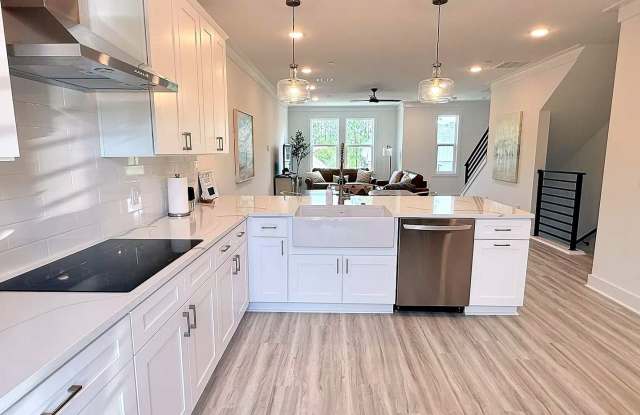 Stunning 4BR/3.5BA New-Construction Townhome in 30 North at Eden Park Gallery 3