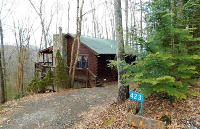 423 Laurel Creek Road - 423 Laurel Creek Road, Gilmer County, GA 30513 423 Laurel Creek Road - 423 Laurel Creek Road, Gilmer County, GA 30513