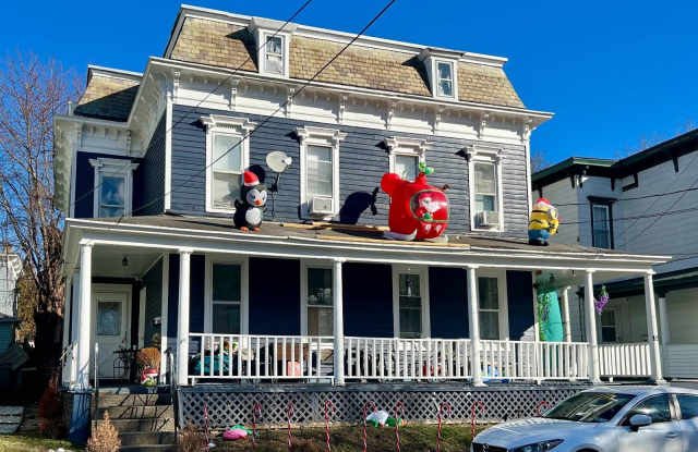 19 Bunn Street - 19 Bunn Street, Amsterdam, NY 12010