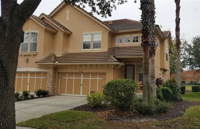 14532 MIRABELLE VISTA CIRCLE - 14532 Mirabelle Vista Court, Keystone, FL 33626