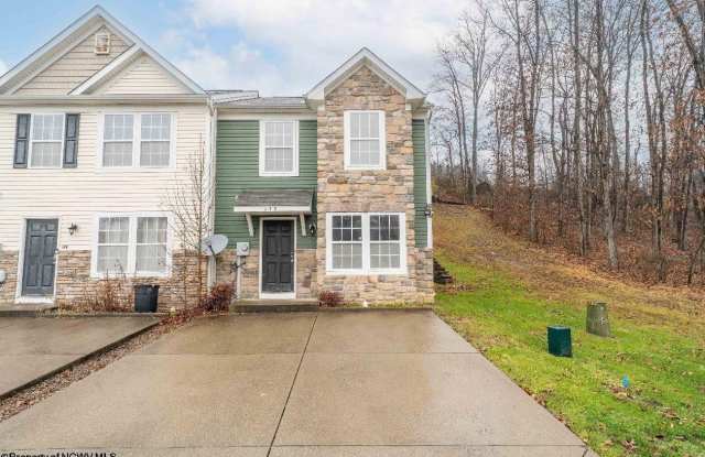 148 Hawks Run Road - 148 Hawks Run, Monongalia County, WV 26508