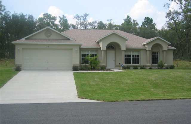 36 Fringetree Street - 36 Fringetree Street, Sugarmill Woods, FL 34446