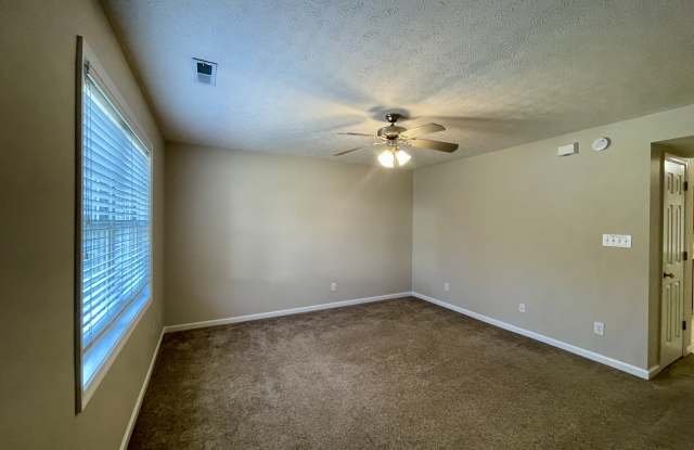 125 Primrose Lane - B Gallery 3