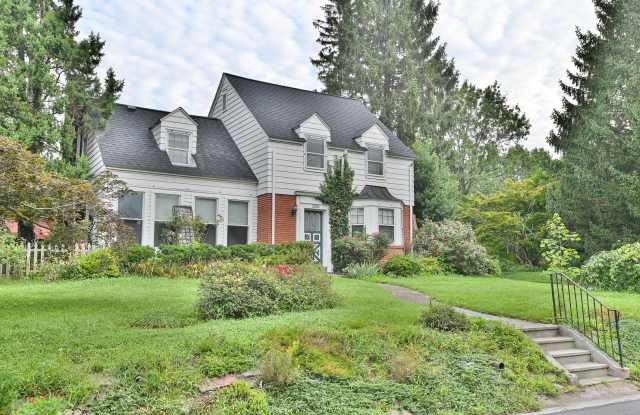 Beautiful Single Family in Bellevue Park Gallery 3
