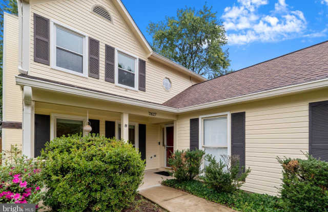 7827 BOLD LION Lane Gallery 2