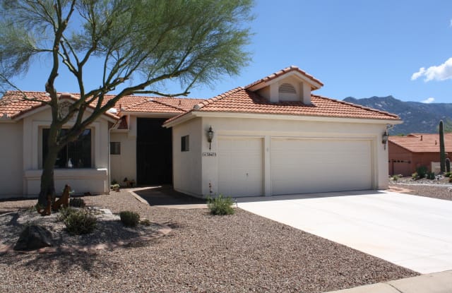 38475 S Viewpoint Court - 38475 South Viewpoint Court, Saddlebrooke, AZ 85739
