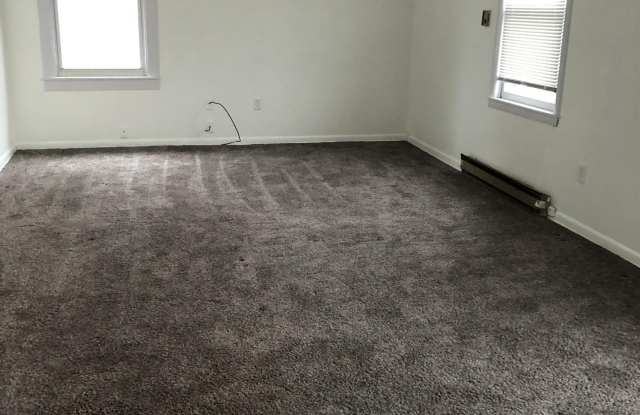 205 East Central Avenue - 205 East Central Avenue, Delaware, OH 43015