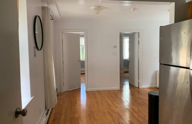 10 Goodwin Place - 10 Goodwin Place, Brooklyn, NY 11221