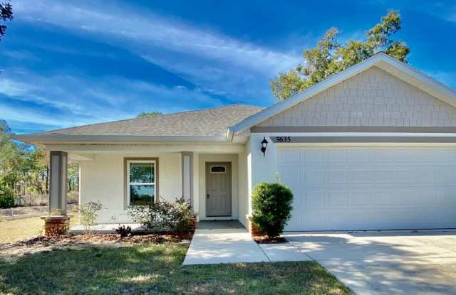 BEAUTIFUL Newer Home 3/2/2 Spring Hill, 1589 Sq Ft photos photos