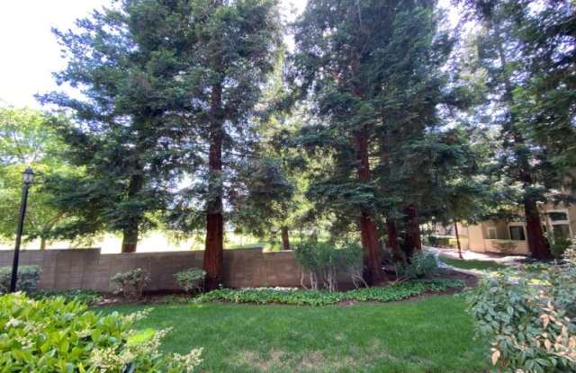 3318 Smoketree Commons Dr Gallery 2