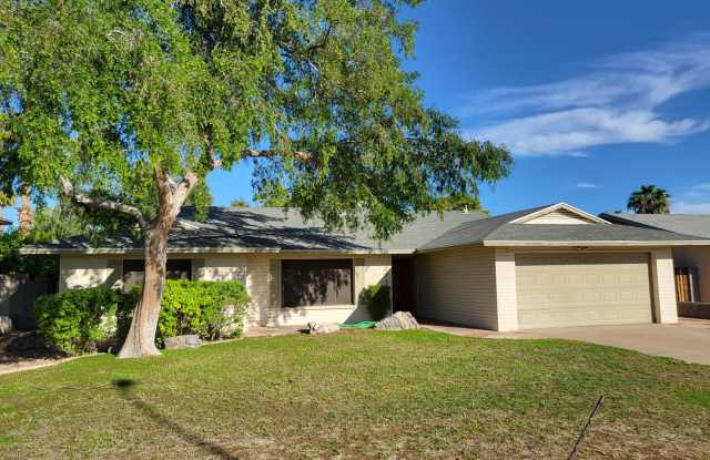 Tempe Treasure! photos photos