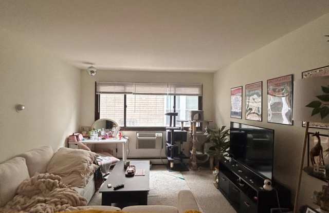 Edgewater East photos photos