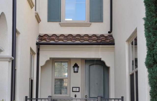 56 Calypso Gallery 2