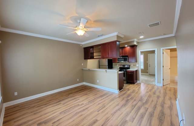Upscale 3/3 town home in University Green for rent August 7, 2025 for $1450 per month, photos photos