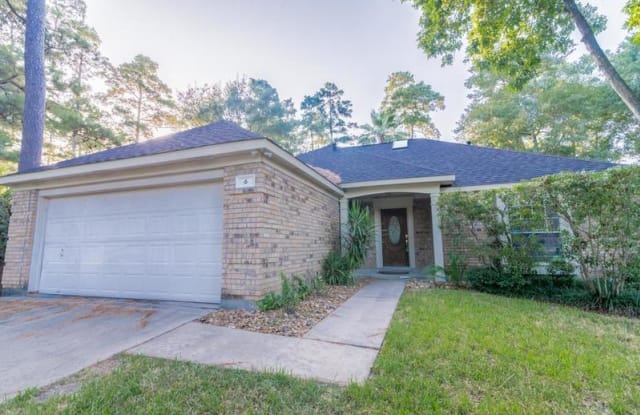6 Amber Fire Pl - 6 Amber Fire Place, The Woodlands, TX 77381