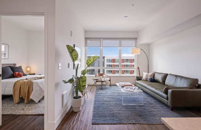 Ember Apartments Gallery 1