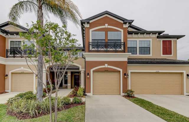 11676 CROWNED SPARROW LANE - 11676 Crowned Sparrow Lane, Westchase, FL 33626