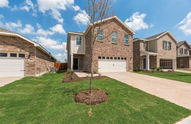 4512 Wood Fern photos photos