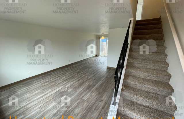 255m Gallery 3