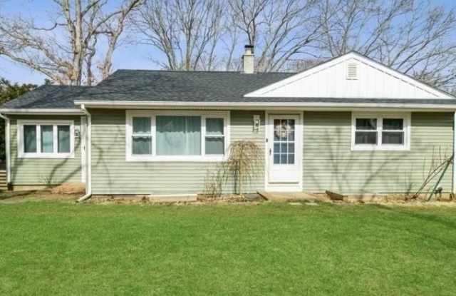 1 DOGWOOD photos photos