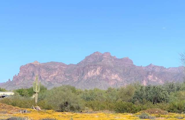 1225 N San Marcos Dr - 1225 North San Marcos Drive, Apache Junction, AZ 85120