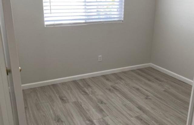 South Corona Beauty! Gallery 4