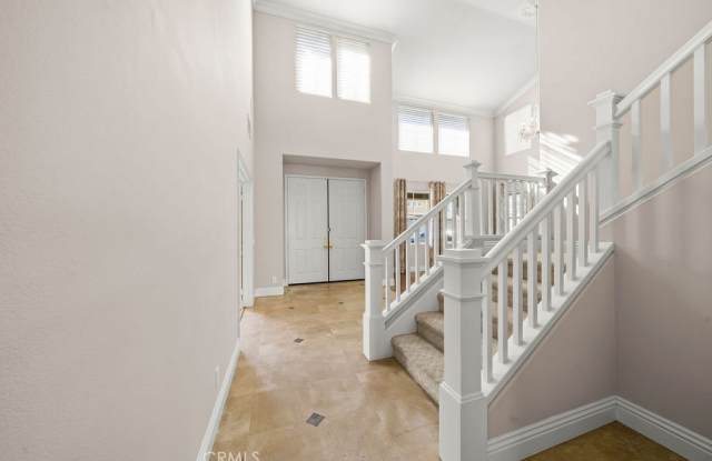 6 Petria Gallery 2