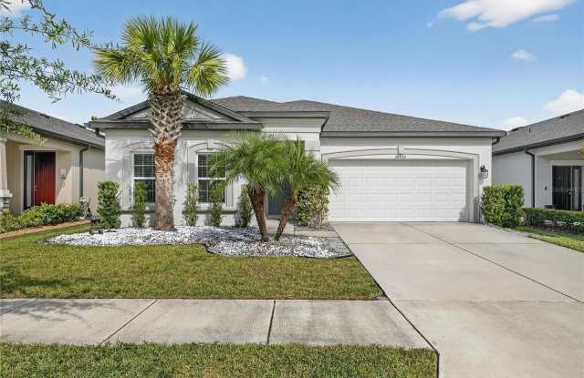 30439 CARAVELLE LANE - 30439 Caravelle Lane, Wesley Chapel, FL 33545