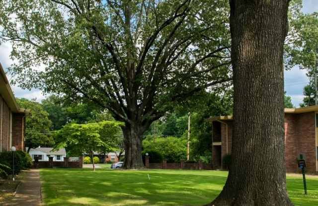 Allison Gardens Apartments Gallery 3