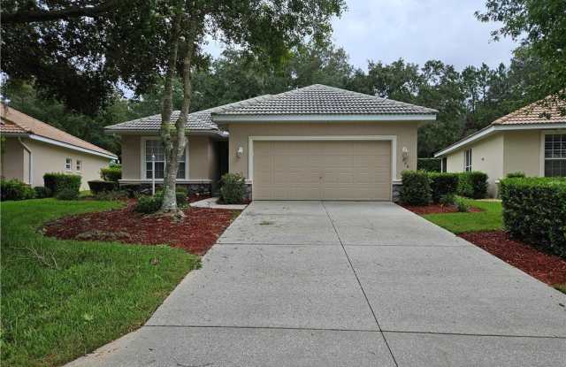 836 W Silver Meadow Loop - 836 West Silver Meadow Loop, Citrus Hills, FL 34442