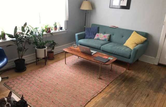 916 North Damen Ave. photos photos