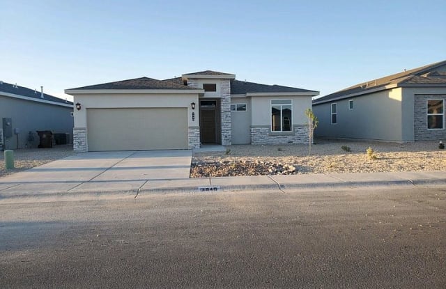3940 Pacific Loop - 3940 Pacific Lp, Las Cruces, NM 88012