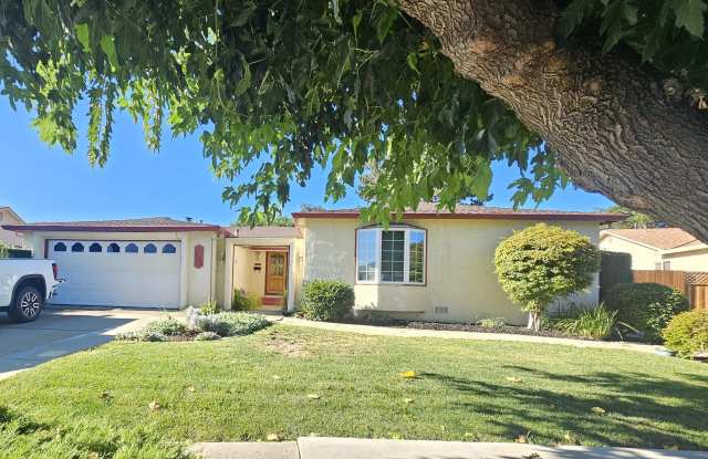 4348 Wilson Lane - 4348 Wilson Lane, Concord, CA 94521