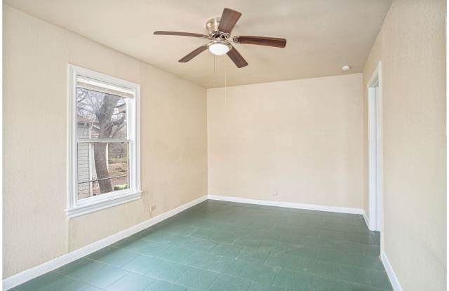 928 Poinsettia photos photos