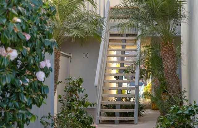 82 ANTIGUA COURT Gallery 3