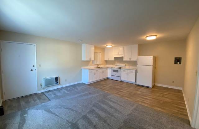 Remodeled 1 bed 1 bath apartment available now Gallery 1