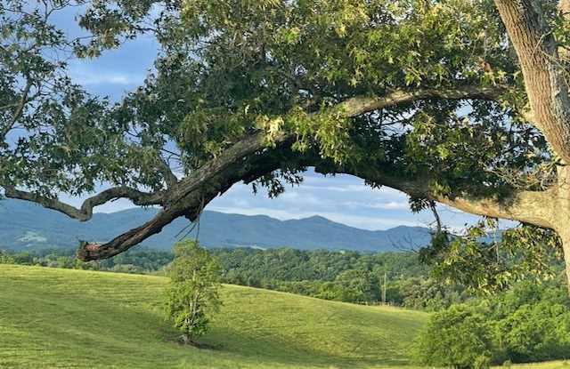 1363 Walkers Ford Road - 1363 Walkers Ford Road, Greene County, TN 37743